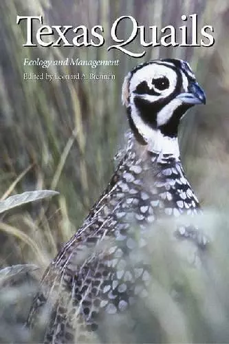 Texas Quails cover