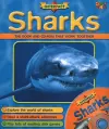 Sharks cover