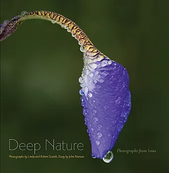 Deep Nature cover