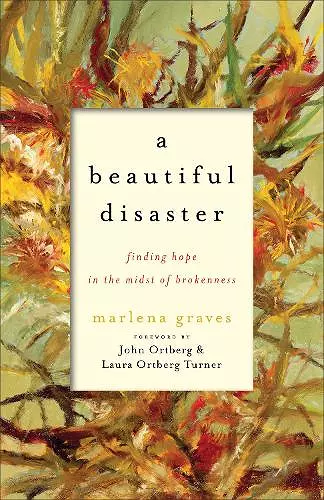 A Beautiful Disaster – Finding Hope in the Midst of Brokenness cover