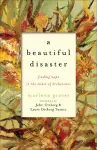 A Beautiful Disaster – Finding Hope in the Midst of Brokenness cover