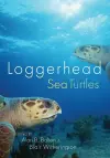 Loggerhead Sea Turtles cover