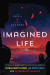 Imagined Life cover