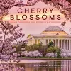 Cherry Blossoms cover