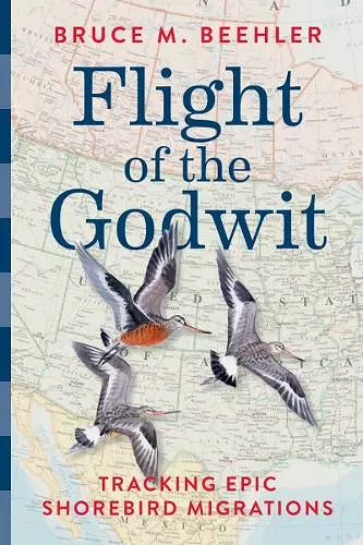 Flight of the Godwit cover