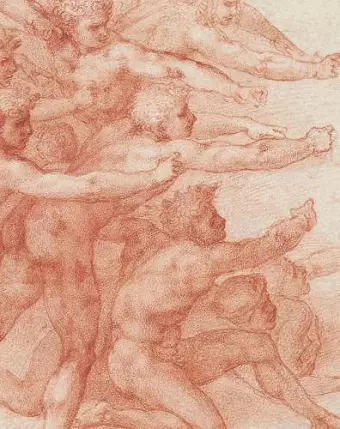 Michelangelo cover