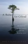 A Balm for Gilead cover