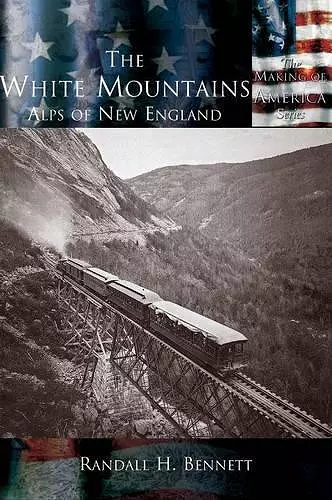 The White Mountains cover