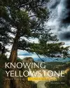 Knowing Yellowstone cover