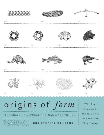 Origins of Form cover