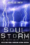 Soul Storm cover