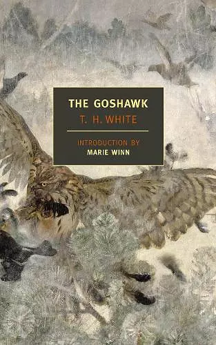 The Goshawk cover