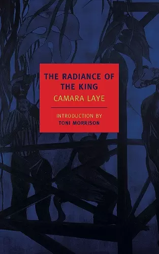 The Radiance of the King cover