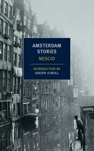 Amsterdam Stories cover