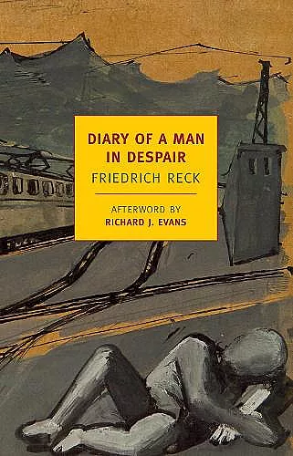 The Diary Of A Man In Despair cover