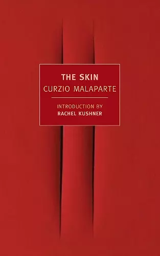 The Skin cover