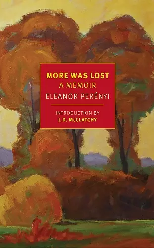 More Was Lost cover