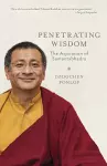 Penetrating Wisdom cover