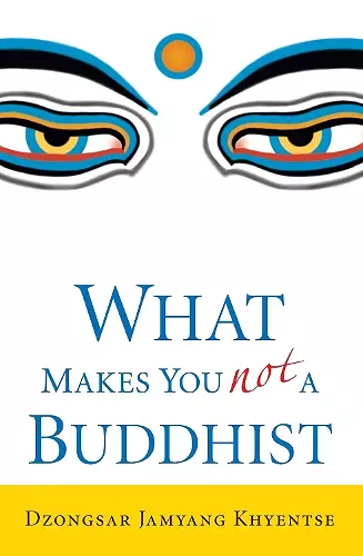 What Makes You Not a Buddhist cover