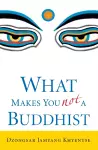 What Makes You Not a Buddhist cover