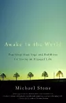 Awake in the World cover