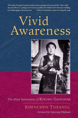 Vivid Awareness cover