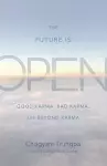The Future Is Open cover