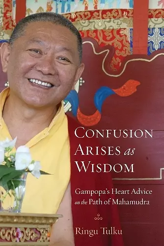 Confusion Arises as Wisdom cover