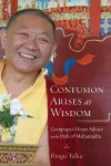 Confusion Arises as Wisdom cover