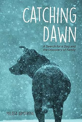 Catching Dawn cover