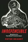 Indefensible cover
