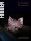Hidden cover
