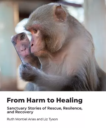 From Harm to Healing cover