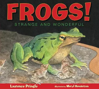 Frogs! cover