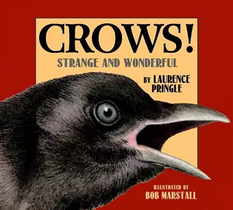 Crows! cover