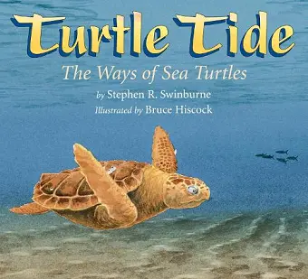 Turtle Tide cover