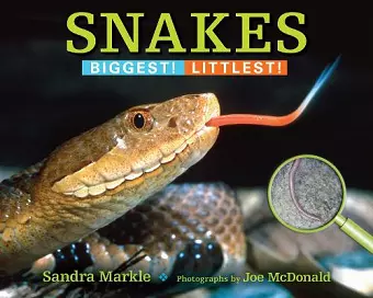 Snakes cover