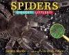 Spiders cover