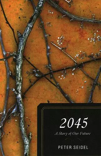 2045 cover