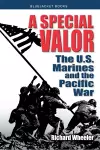 A Special Valor cover