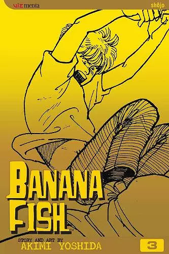 Banana Fish, Vol. 3 cover