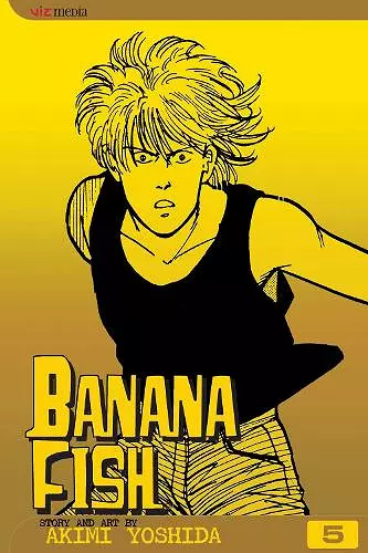 Banana Fish, Vol. 5 cover