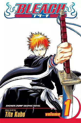 Bleach, Vol. 1 cover