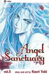 Angel Sanctuary, Vol. 5 cover