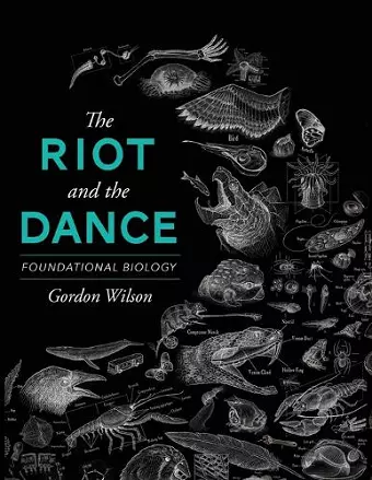 The Riot and the Dance cover