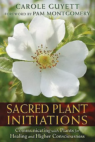 Sacred Plant Initiations cover