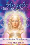 The Angelic Origins of the Soul cover