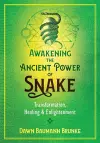 Awakening the Ancient Power of Snake cover