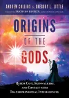 Origins of the Gods cover