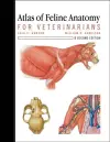 Atlas of Feline Anatomy For Veterinarians cover